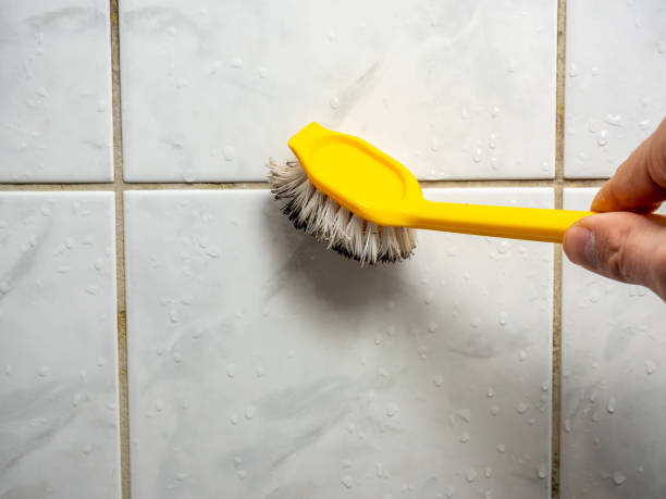 Best Mold Remediation for Specific Building Types in Oblong, IL