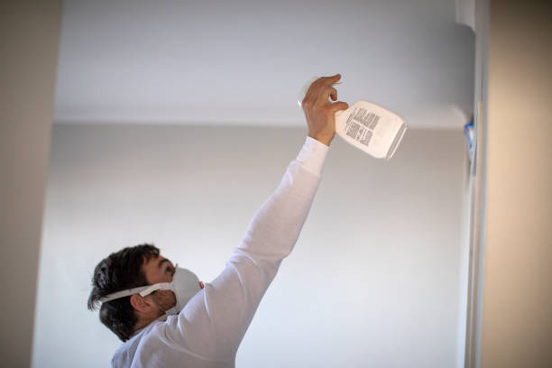 Best Post-Remediation Services in Oblong, IL