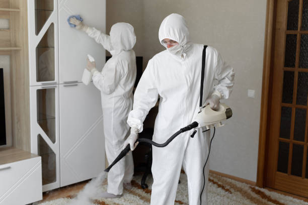 Best Residential Mold Remediation in Oblong, IL