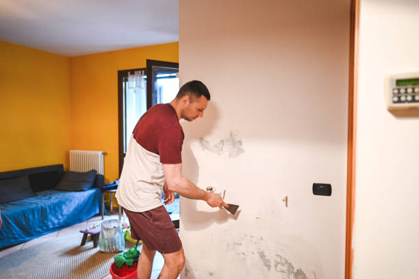 Best Crawl Space Mold Remediation in Oblong, IL